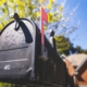 USA Postkasten